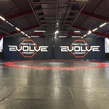 Разделяющая штора Fighttech SCWM