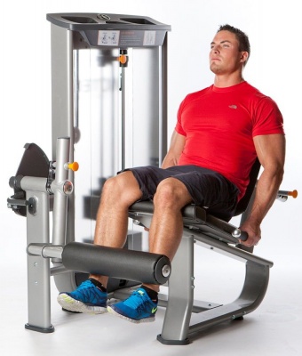 Разгибание ног Inotec NL5 | sportres.ru