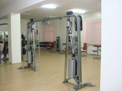 Кроссовер Impulse IT9313 | sportres.ru