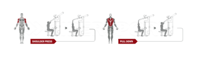 Жим от плеч/верхняя тяга Spirit Fitness DWS103-U2