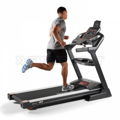 Беговая дорожка FitEx Pro P-4TE Prof