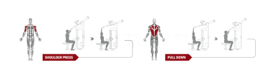 Жим ногами/голень-машина Spirit Fitness DWS161-U2