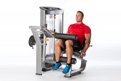 Сгибание ног сидя Inotec NL6 | sportres.ru