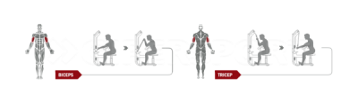 Бицепс/Трицепс - машина Spirit Fitness DWS117-U2