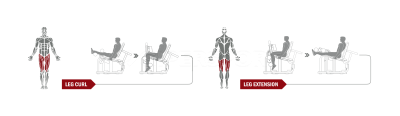 Сгибание/разгибание ног сидя Spirit Fitness DWS141-U2