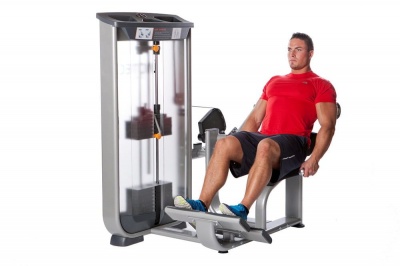 Разгибание спины Inotec NL8 | sportres.ru