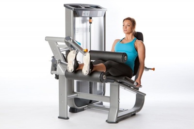 Сгибание ног сидя Inotec NL6 | sportres.ru