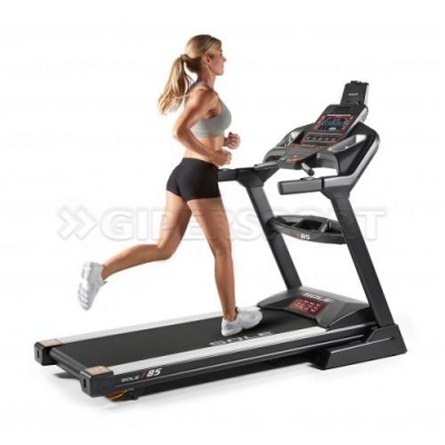 Беговая дорожка FitEx Pro P-4TE Prof