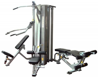 Мультистанция 3-х позиционная Spirit Fitness BWM109-3