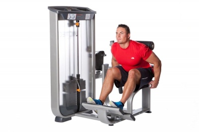 Разгибание спины Inotec NL8 | sportres.ru