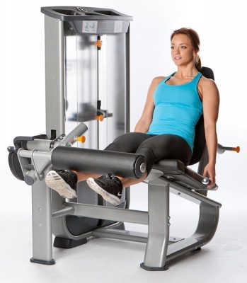 Разгибание ног Inotec NL5 | sportres.ru