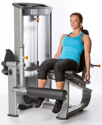 Разгибание ног Inotec NL5 | sportres.ru