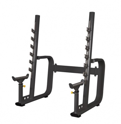 Силовая стойка для жимов и приседов Spirit Fitness AFC101