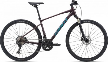 Велосипед Giant Roam 0 Disc (рама L)