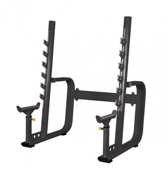 Силовая стойка для жимов и приседов Spirit Fitness AFC101