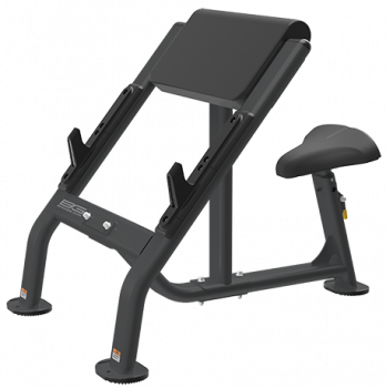 Скамья Скотта BRONZE GYM BR-1007