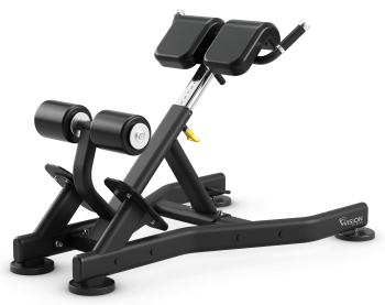 Скамья для гиперэкстензий Vision Fitness VST600-FW52 | sportres.ru