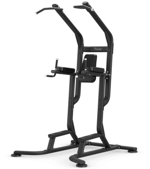 Турник-пресс-брусья Vision Fitness VST700-FW63 | sportres.ru