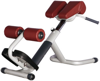 Гиперэкстензия Bronze Gym H-026A | sportres.ru