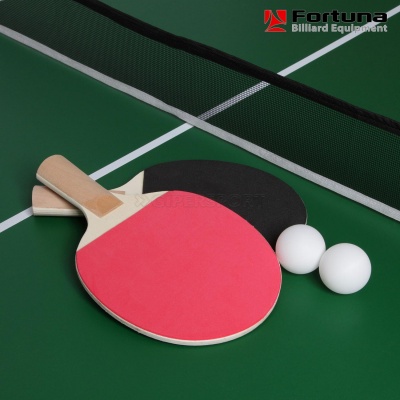 БИЛЬЯРДНЫЙ СТОЛ FORTUNA РУССКАЯ ПИРАМИДА 4ФТ 9 В 1 С КОМПЛЕКТОМ АКСЕССУАРОВ