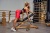 Универсальная скамья UNO Panchina Pilates Plus UN-1301 | sportres.ru