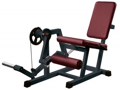 Тренажер для мышц бедра (разгибатель бедра) V-Sport Interatletik GYM ST218 | sportres.ru