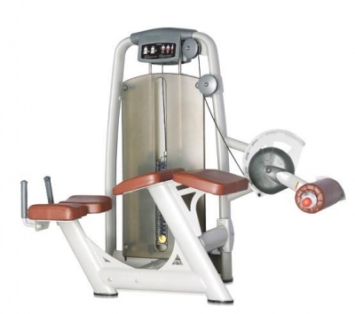 Bronze Gym MZM 015 жим ногами