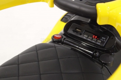 Толокар RiverToys Pagani A002AA-H yellow