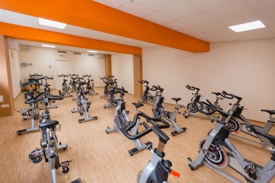 Cайкл-тренажер Aerofit PS300E | sportres.ru
