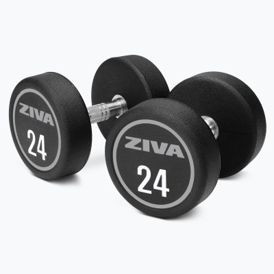 Гантели уретановые Ziva ZXP-DBPU Studio, 1 кг | sportres.ru