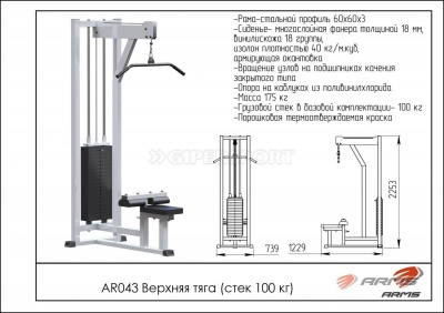 Грузоблочный тренажер Верхняя тяга стек 100кг ARMS AR043