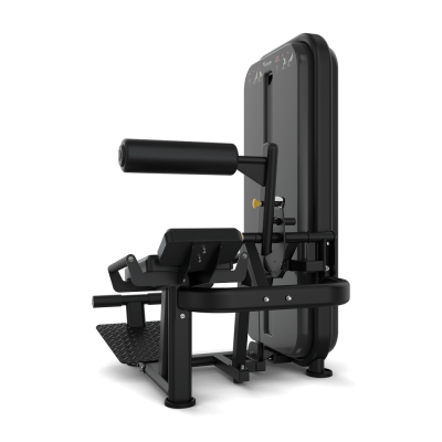 Разгибание спины / Пресс, стек 100 кг. Vision Fitness VST600-S531 | sportres.ru