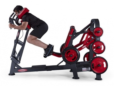 Power Runner – Силовой бег Panatta 1FW098 | sportres.ru
