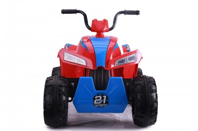 Квадроцикл RiverToys T555TT SPIDER