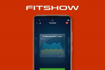 Беговая дорожка Titanium Masters Slimtech C10 (коричневая)
