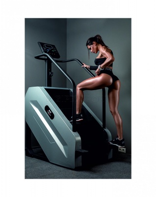 Степпер лестничного типа UltraGym UG-PS 001