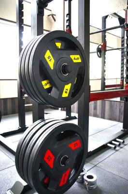 Олимпийский обрезиненный диск Aerofit 2,5 кг, черно-синий | sportres.ru