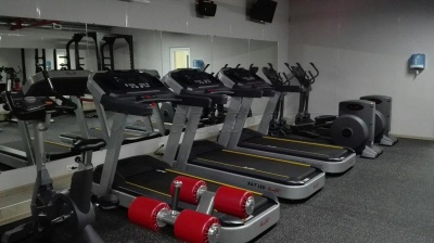 Беговая дорожка Aerofit X4-T LED