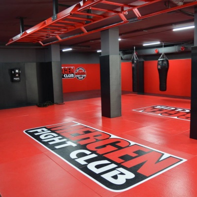 Татами Econom 100х200х4см Fighttech TE