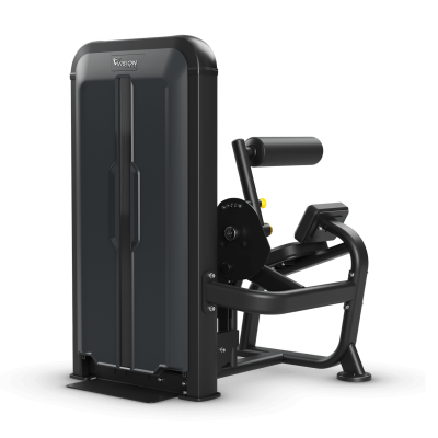 Разгибание спины, стек 73 кг. Vision V-KEY-SL-52 | sportres.ru