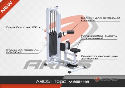 Грузоблочный тренажер Торс машина ARMS AR051