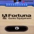 Настольный футбол / кикер FORTUNA OLYMPIC FDL-455 138Х71Х87СМ