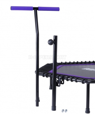 Батут Basefit TR-401 101 см с держателем