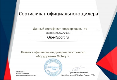 Спинбайк VictoryFit VF-GymRider 230