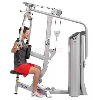 Баттерфляй и Задние дельты HOIST HD-3900