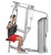 Баттерфляй и Задние дельты HOIST HD-3900
