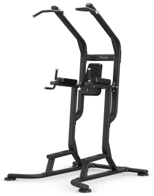 Турник-пресс-брусья Vision Fitness VST600-FW63 | sportres.ru