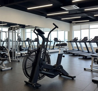 АэроБайк Fitex PRO PREMIER-8A PROF | sportres.ru