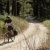 Велосипед Giant 2018 ToughRoad SLR 1