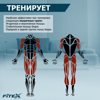 Скоростной велотренажер Fitex PREMIER PROF-M | sportres.ru